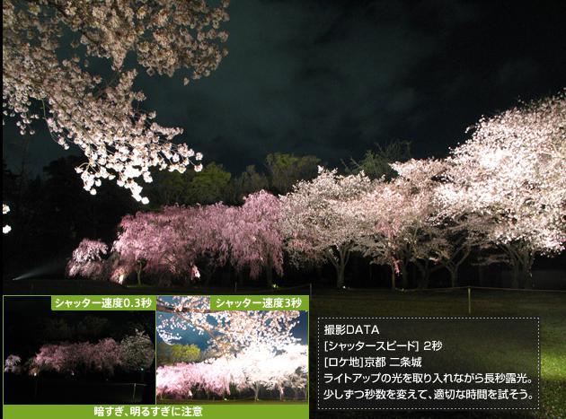 夜桜３.JPG